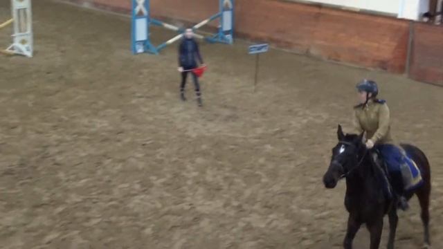 Конкур 23 февраля. РКШ Гусар. 60 см смотреть онлайн