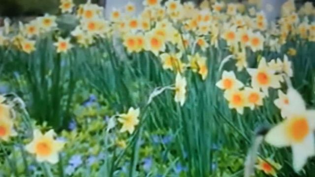 Я иду к Тебе Господь с печалью!