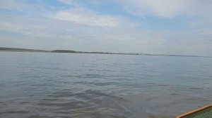 Бешеный клев плотвы на поплавочную удочку на искусственные приманки