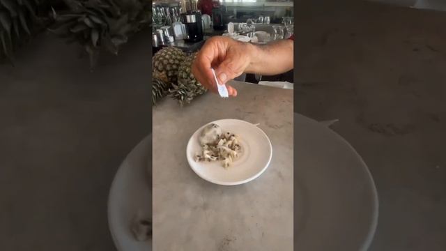 Как выглядит плод Нони и как его едят на Бали