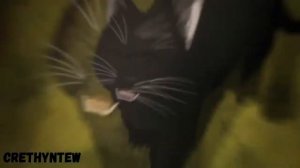 ВЕСЬ ПОТЕНЦИАЛ УЧИХИ САСКЕ   БЕССМЕРТНЫЙ УЧИХА   СИЛЬНЕЙШИЕ ТЕХНИКИ САСКЕ 1