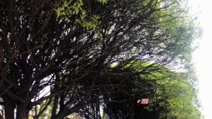 ты решила не быть со мной