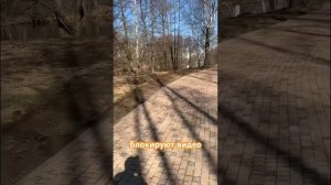 О странной политике авторских прав