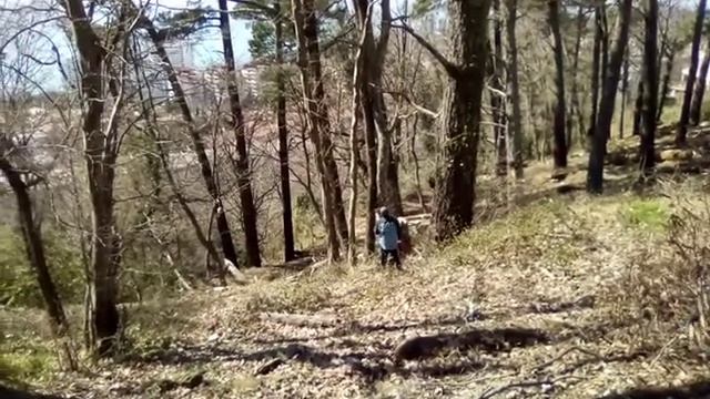 19 марта 2019 г.