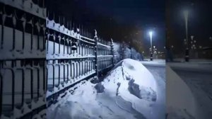 А.  Миронова.  "Одинокая женщина ищет друга."