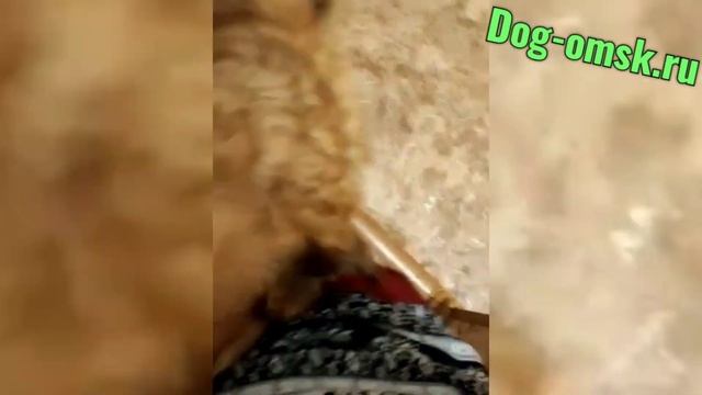 Привет от ЖАННЫ смотреть онлайн