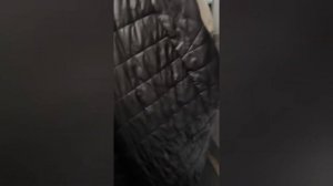 Как убрать краску с куртки, одежды