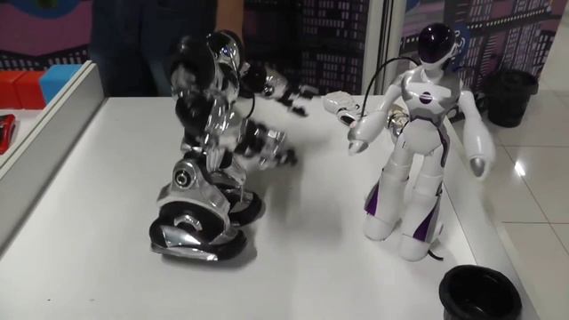 Робополис. Ставрополь