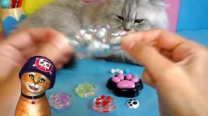 Таба лапки 🐾Песня клип