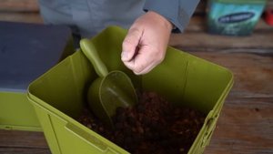 Закрытие сезона по карповой ловле на любимом водоеме Золотой Берег.