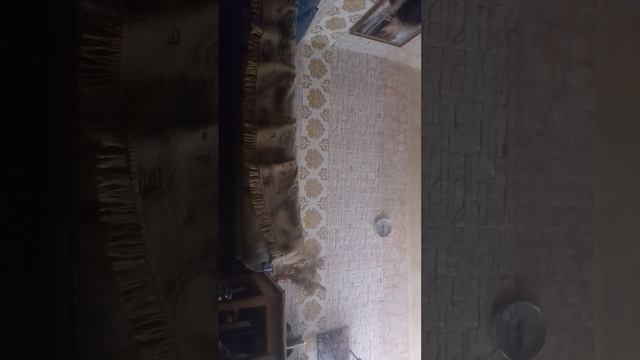 Проверяю квадроберские туториалы,мне нужны перчатки ? смотреть онлайн