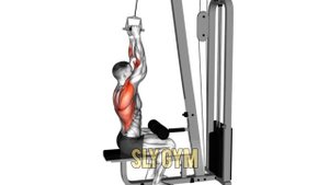 Идеальные Упражнения для СПИНЫ и ТРАПЕЦИИ / тренировк?