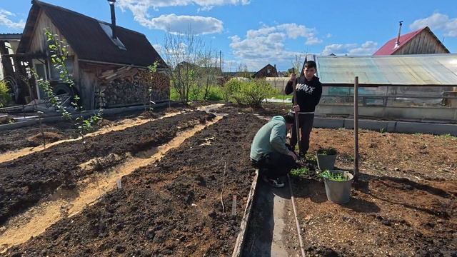 Под контролем работа спорится  ещё лучше. Пленницу выпустили к остальным.