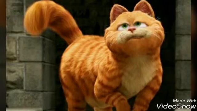 Любимый фильм смотреть онлайн