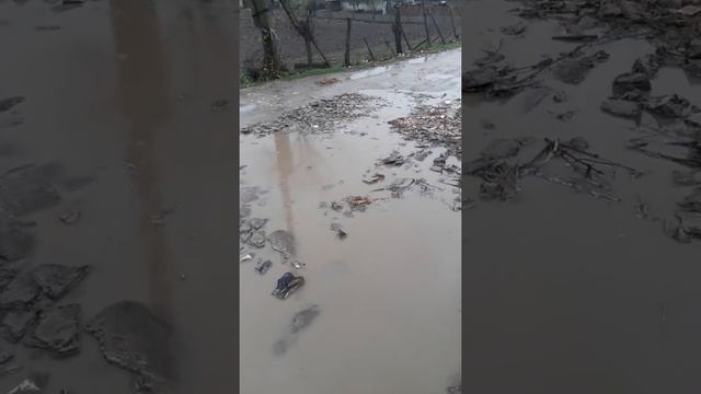 Лукрул виче примар дин сатул Бужор. Коля Онуцэ!!!!!!!!!!!?????????? смотреть онлайн