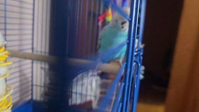 Доигрался, Тоша. Ты сломал свою игрушку.