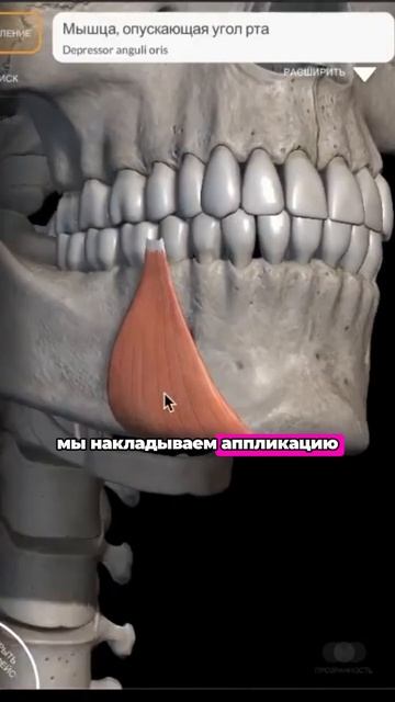Эстетическое тейпирование подбородочной области + упражнение. Избавляемся от брылей и не только смотреть онлайн