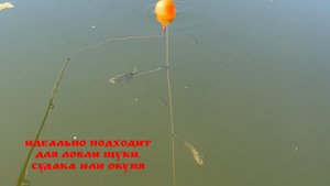 Очень эфективная снасть для поимки хищника ! Намного повышает шанс поймать 🐠🐋🐟🐋🐟