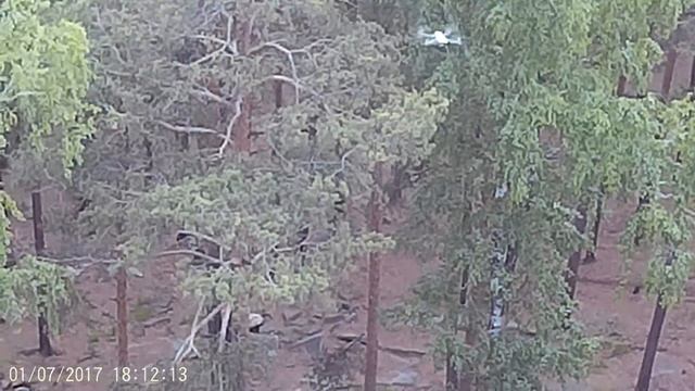 чёртово городище смотреть онлайн