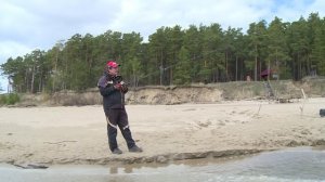 Столько судака на джиг я еще не ловил. Было в 2016 году