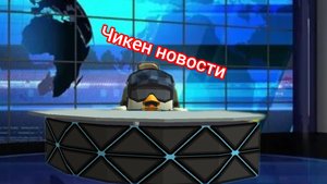 новости на чикен ТВ chicken news