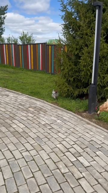 Весенняя прогулка в Берег Песочной!