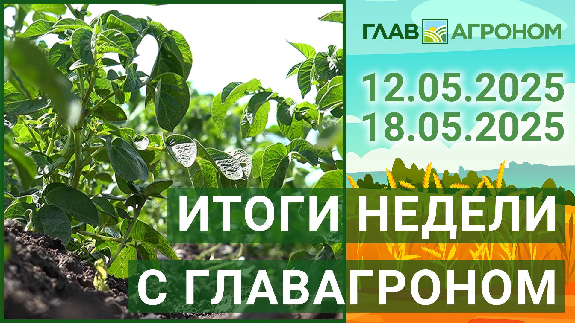 Итоги недели с ГлавАгроном. 12.05.2025 - 18.05.2025