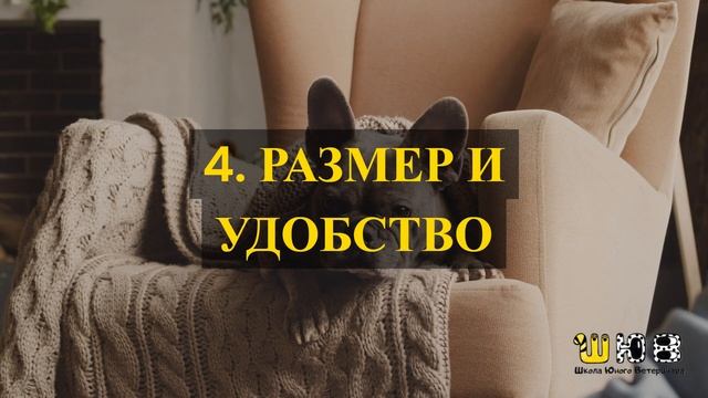 Как выбрать правильную одежду для собаки зимой?