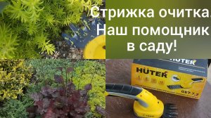 Переехали в Адыгею/ Стрижка очитка/Наш помощник аккумуляторный кусторез HUTER/