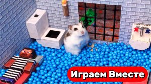 Умный Хомяк сбегает из МАНЙКРАФТ ЛАБИРИНТА С ЛОВУШКАМИ 🐹 Видео для детей