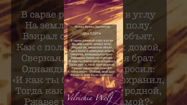 Австрийская поэзия XIX-XX веков  в русских переводах #стихи #поэзия #shorts