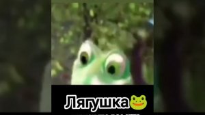 Лягушка🐸