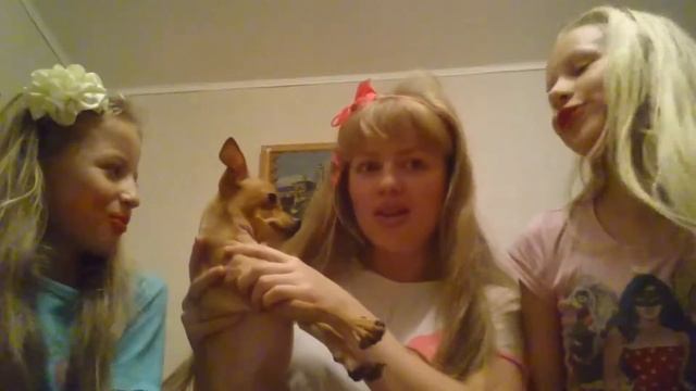Девки жгут