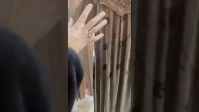 Бишкек Айпери🌹🌹🌹Турецкие нарядные платья получил? смотреть онлайн