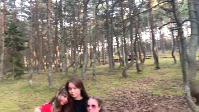 «Танцующий лес» смотреть онлайн