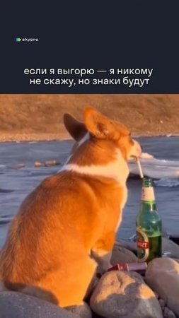 Знаки точно будут...