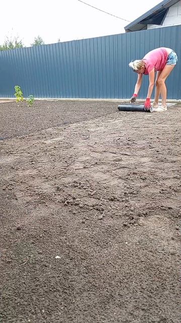 #грядки своими руками 💪🫶@tatianakhaliavchenko #shorts смотреть онлайн