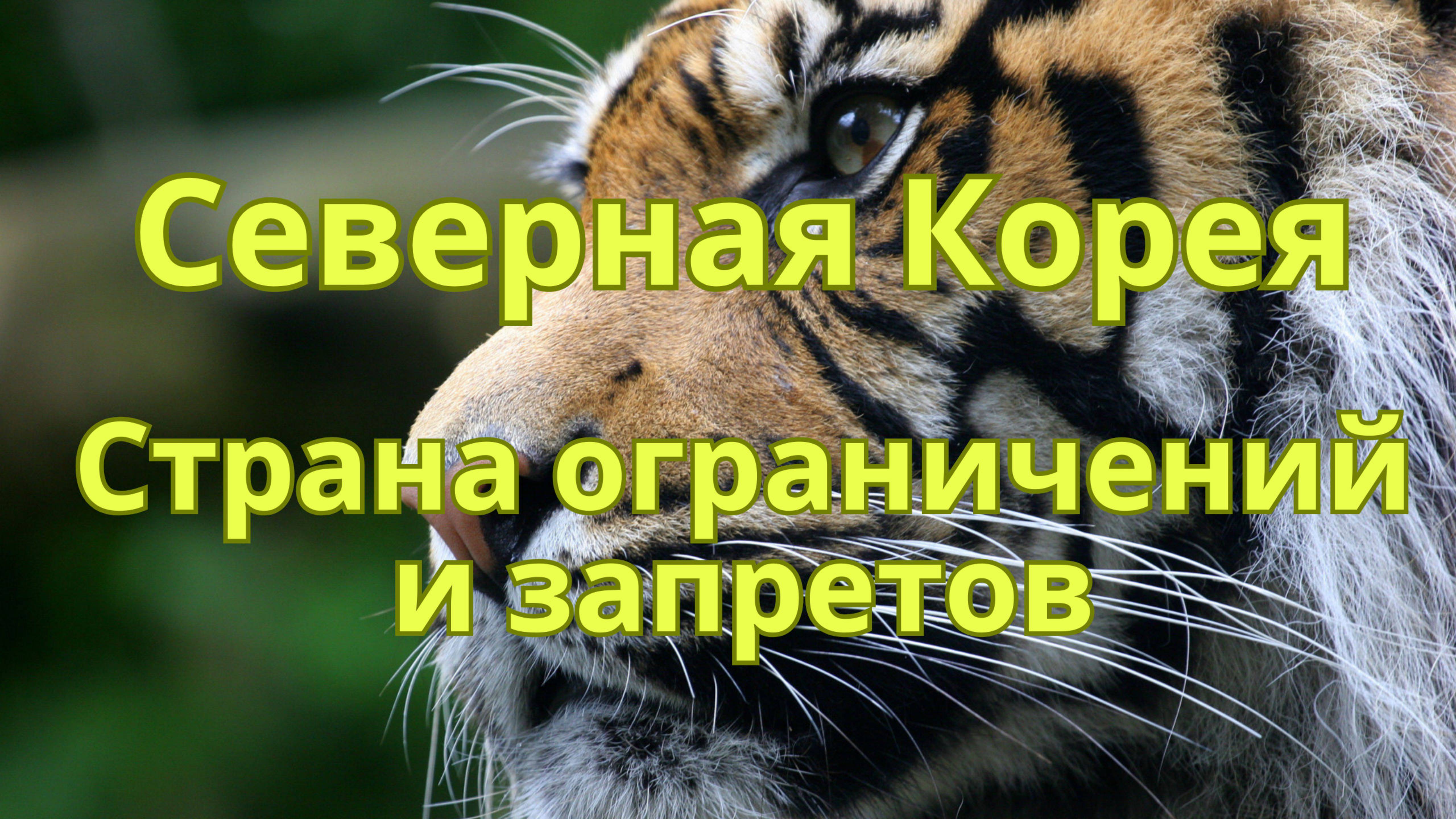Северная Корея - страна ограничений и запретов. смотреть онлайн