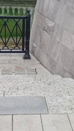 В александровском саду