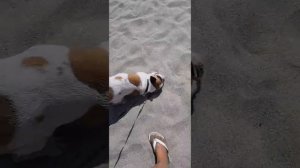 Дензел в Катерини. Греция.