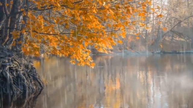 Под зонтом смотреть онлайн