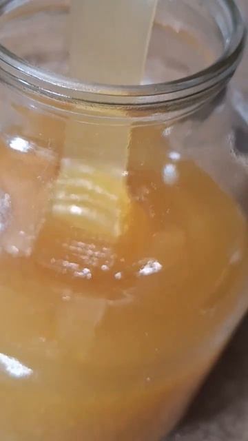 медок поёт смотреть онлайн