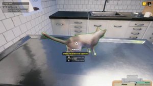 Animal Shelter | Первый пациент ветклиники – экстренный осмотр! | SailorGame