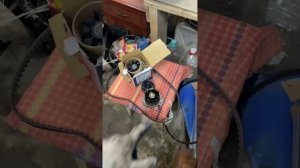 Гранта 8 кл , замена ремня ГРМ