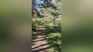 Прокатился сегодня с другом Борисом и Леной