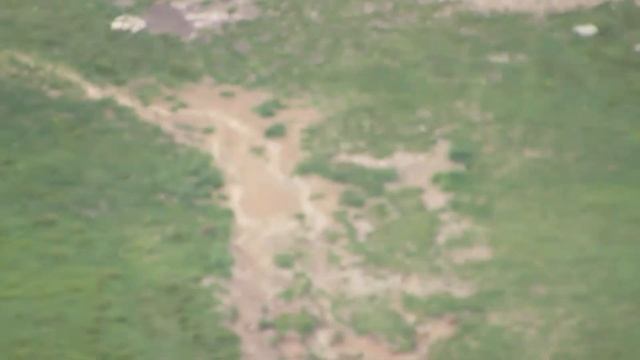 гора Говерла! 06.07.2020