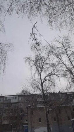Кого защищает прокуратура?  #ЕдиннаяРоссия  #НародныйФронт #Путин #прокуратура