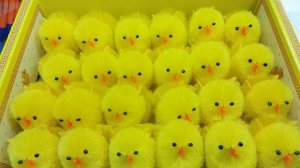 22.03.25.новое поступление товара_шопимся🙃🙃🙃_комментарии