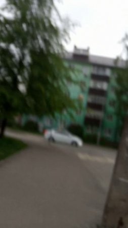 мутное