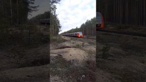 весенний микс электропоездов ласточка